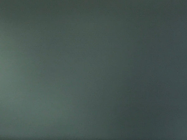 The Controller® - Driver Hand Braking